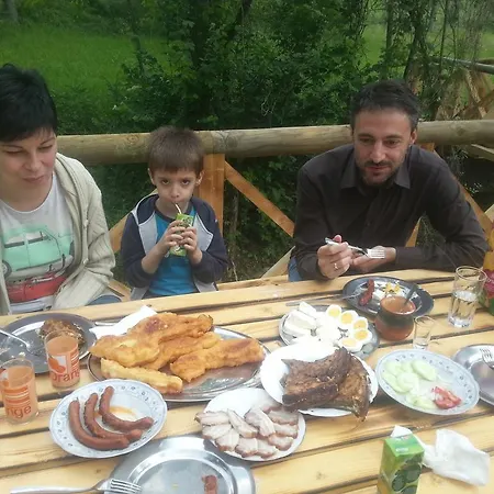 Gradacka Banja Brvnare * Gradac (Raska)